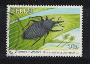 Belize Coconut Weevil 1v 30c canc SG#1174A