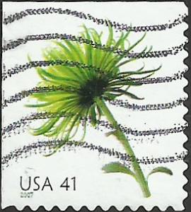 # 4176 USED CHRYSANTHEMUM