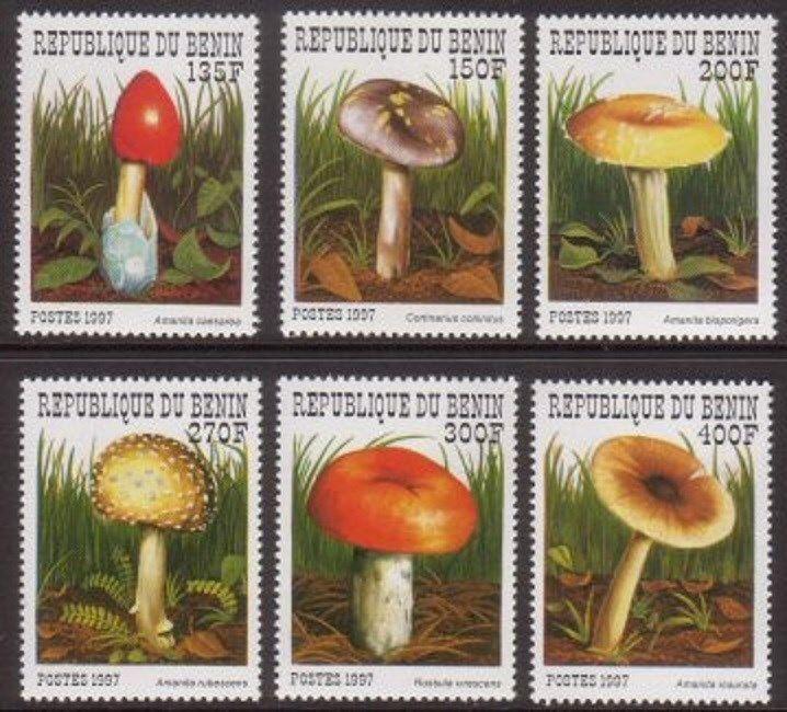 Benin 1997 Mushrooms VF MNH (1029-34)