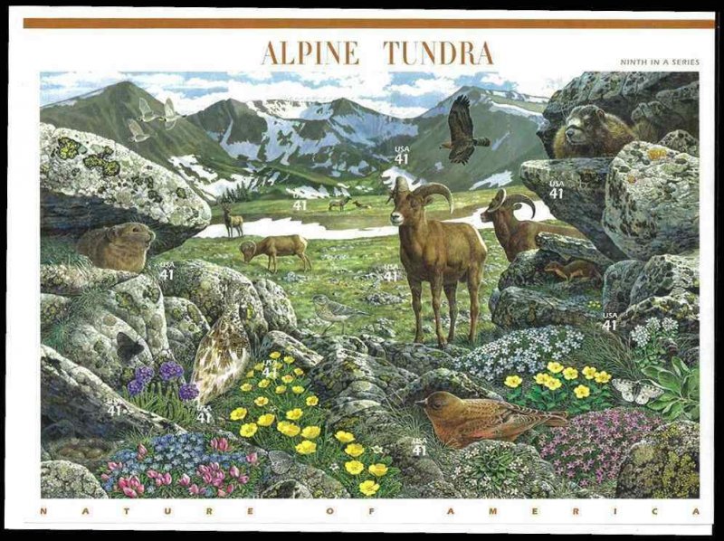 4198 PANE OF 10 ALPINE TUNDRA STAMPS 41¢ MNH 9th IN A SERIES Nature of America