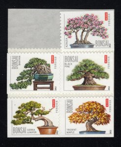 U.S. - 4618-22 - EXTRA FINE - Never Hinged