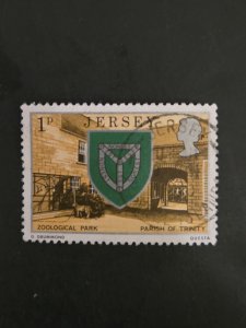 Jersey #138       Used