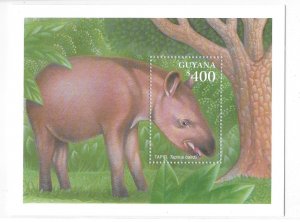 Guyana 2001 Tapir Animals of Tropical Rainforests Sc 3677 S/S MNH C8