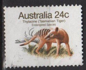 Australia 1981  Scott 788 used - 24c, Tasmanian Tiger
