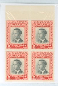 Jordan #307  Plate Block (King)