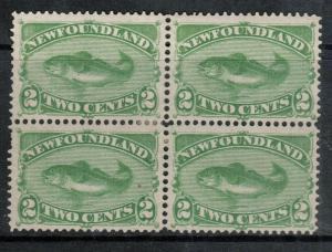 Newfoundland #46 Very Fine Mint Original Gum Hinged Block **With Certificate**