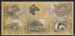 Russia 1989 Sc B156a Marten Squirrel Hare Hedgehog Badger Zoo Fund Stamp M DG