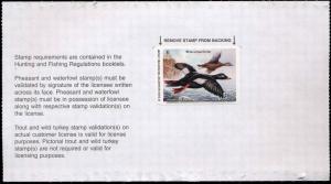 MINNESOTA #29 2005  STATE DUCK STAMP WHITE WINGED SCOTER & LIGHTHOUSE D Chapman