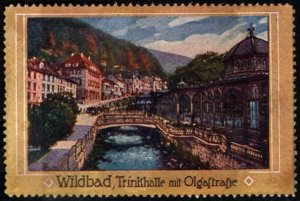 Vintage Germany Poster Stamp Wildbad, Drinking Hall On Olgaſstrasse