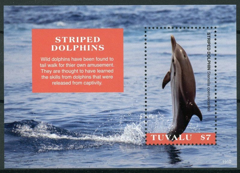 Tuvalu 2019 MNH Striped Dolphins 1v S/S Mammals Marine Animals Stamps