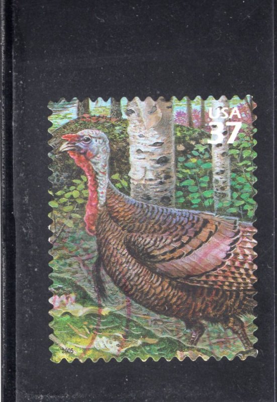 3899g Wild Turkey, used