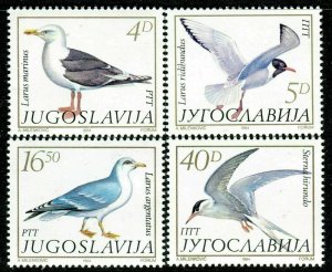 Yugoslavia 1984 MNH Stamps Scott 1687-1690 Birds Seagull