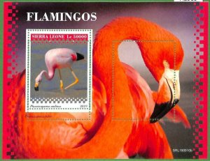 A2589 - SIERRA LEONE - ERROR: MISPERF, Souvenir Sheet - 2019, Flamingos, Birds-