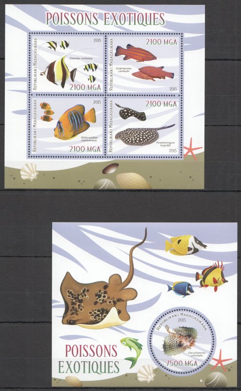 2015 Exotic Fish Marine Life Fauna Kb+Bl Mnh Pe439