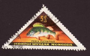 Mongolia 1962 SG#295 5m Fish Perca USED-Good-NH.