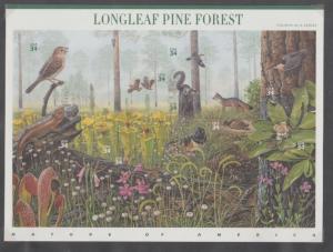 U.S. Scott #3611 Longleaf Pine Forest Stamps - Mint NH Sheet