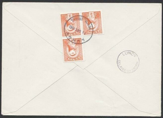 GB LUNDY 1982 cover  - Puffin stamps - DELAYED BY STORM.....................F880