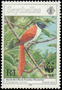 Seychelles #775-778, Complete Set(4), 1991, World Wildlife Fund, Birds, Never...
