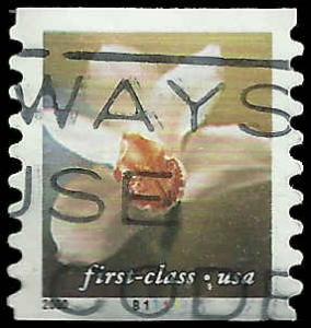 P.N.C. B1111 # 3464 USED FLOWERS