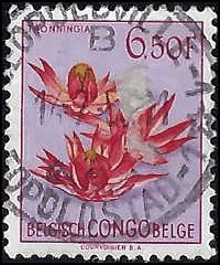 BELGIAN CONGO   #278 USED (5)