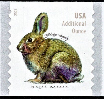 US 5545 MNH VF/XF 20 Cent  Additional Ounce Brush Rabbit