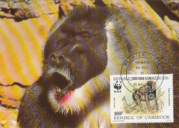 Cameroun 1988 Maxicard Sc #846 100fr Drill baboon WWF