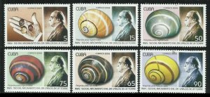 2008 Cuba 5064-5068 Molluscs - Snails 6,00 €