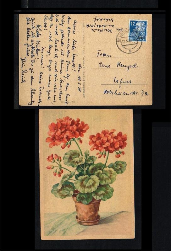 1950 - Allied Occupation Picture postcard - Flora - Flowers [B09_160]