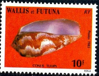 Cone Shell, Wallis & Futuna Islands stamp SC#303 Mint