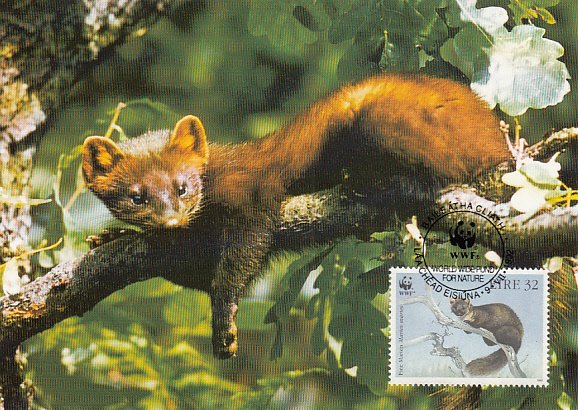 Ireland 1992 Maxicard Sc #869 32p Pine martens WWF