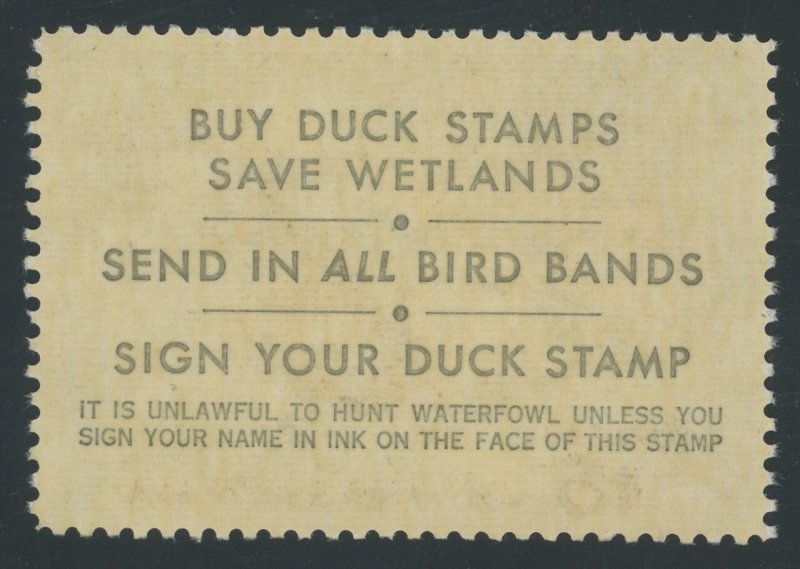 USA RW40 - 1973 Federal Duck Stamp - F/VF Mint never hinged