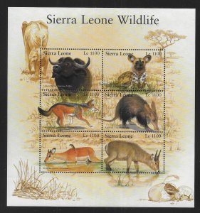 Sierra Leone 2539-2540 Wildlife m/s MNH