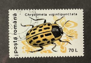 Romania 1996 Scott  4082 used - 70 l, insects, Chrysomela Vigintipunctata