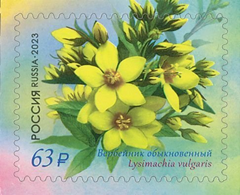 Postage stamps of Russia 2023 - Flora of Russia. Primroses