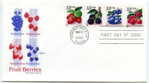 3294a-97a Fruit Berries on one Artmaster FDC