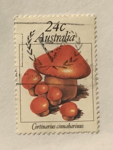 Australia 1981 Scott 806 used - 24c, Mushrooms, Fungi