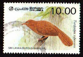 Sri Lanka #839 Rufous Babbler  PM 1987