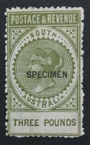 MOMEN: SOUTH AUSTRALIA SC #88s SPECIMEN MINT OG H LOT #191525-733