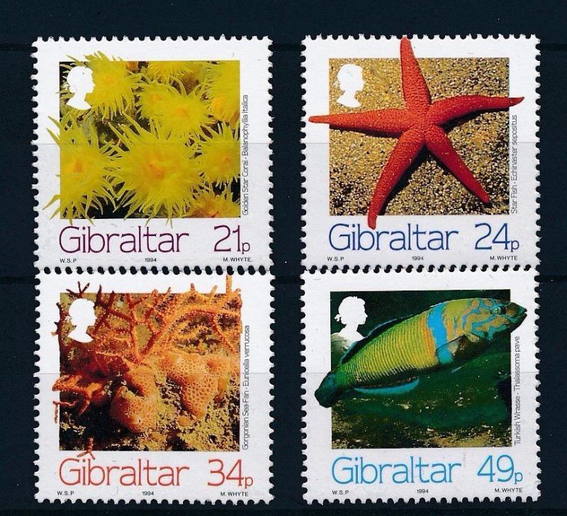 [30302] Gibraltar 1994 Marine Life Fish MNH