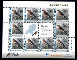 [43467] Netherlands Nederland 2011 Birds Vögel Fringilla coelebs MNH Sheet