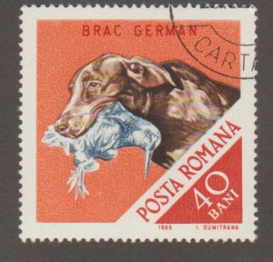 1809 Hunting Dog