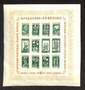 Bulgaria Postage Stamp, #843a Sheet Mint NH, 1953 Flowers