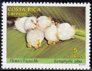 Costa Rica SC #380 Stamp 1986 Flora y Fauna 86 5C. Used.