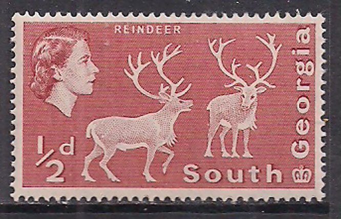 South Georgia 1963 - 69 QE2 1/2d SG 1 MNH ( A493 )