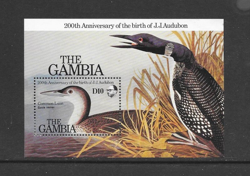 BIRDS -  GAMBIA #555  AUDUBON-COMMON LOON  MNH