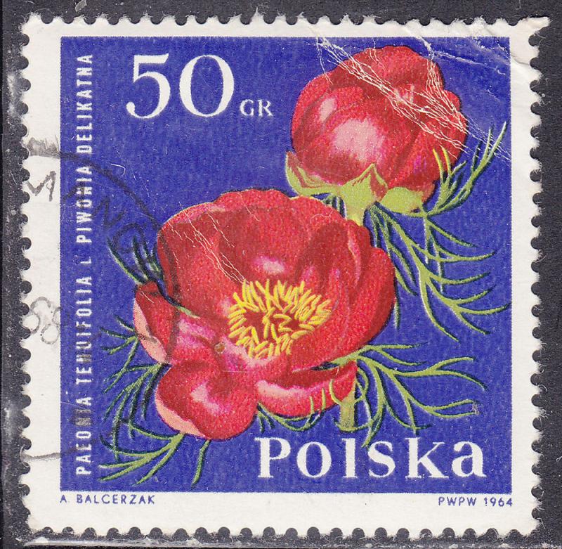 Poland 1282 Peony 1964