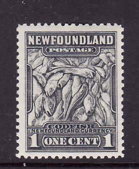 Newfoundland-Sc #253- id 7-unused,og,NH-1c dark grey-Codfish-1941-44-