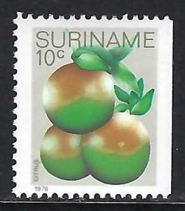 Suriname 511a MNH Z9130