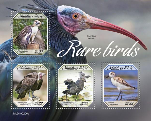 MALDIVES - 2019 - Rare Birds  - Perf 4v Sheet - MNH