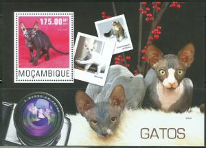 MOZAMBIQUE  2014  CATS   SOUVENIR SHEET   MINT NH